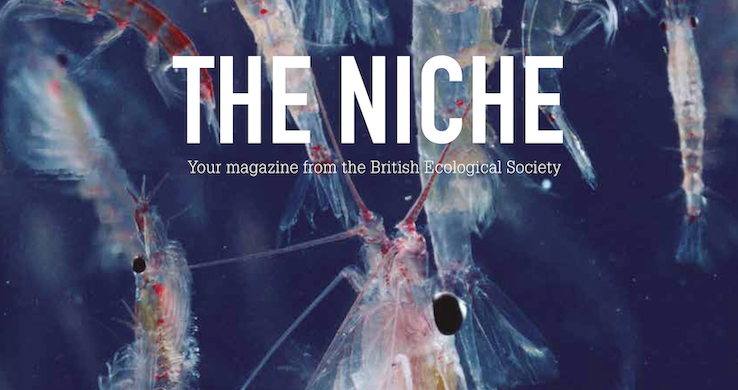 Featured article in The Niche magazine