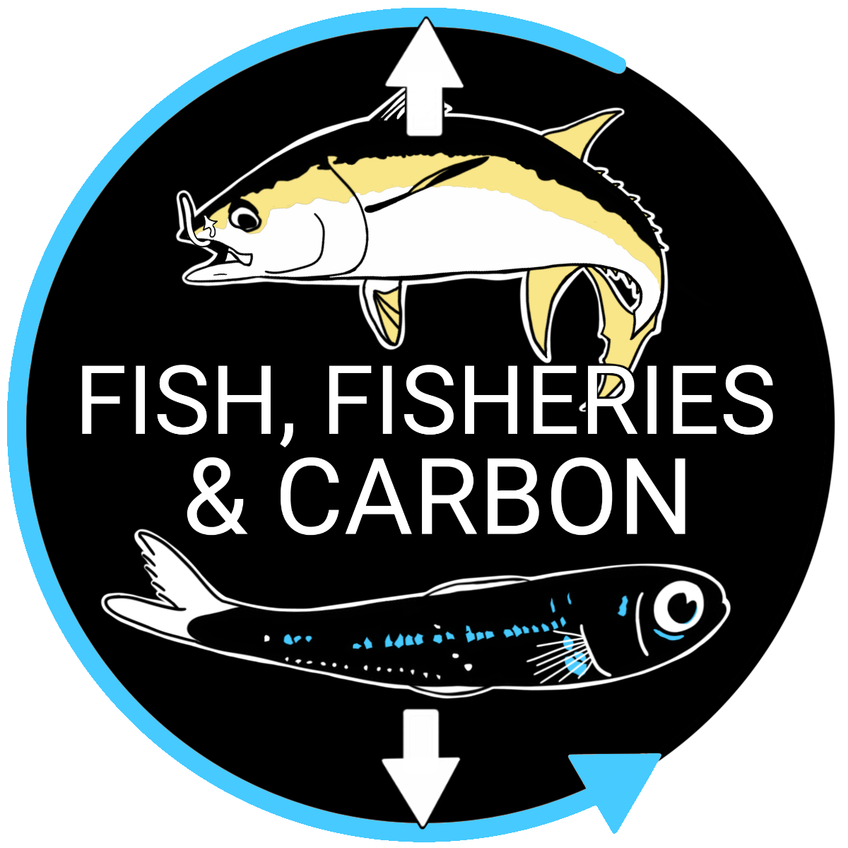 OCB Fish, Fisheries and Carbon meeting