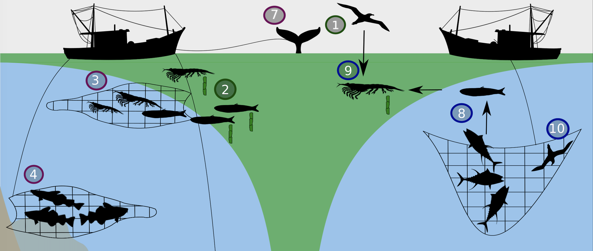 New paper - Industrial fishing on carbon sink